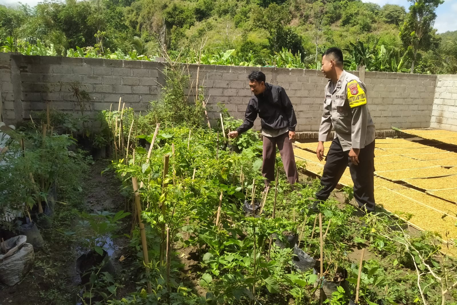 Inisiatif Humanis Polri di Sekotong Tengah, Edukasi Pangan dari Pekarangan Rumah