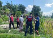 Polisi Lakukan Patroli Tanam Jagung di Dusun Kelebut untuk Dukung Swasembada Pangan