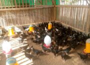 Polri Dorong Swadaya Pangan Lewat Bhabinkamtibmas Desa Jagaraga, Lombok Barat