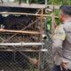 Sinergi Polisi dan Warga Krandangan: Optimalkan Lahan Kosong Jadi Sumber Pangan