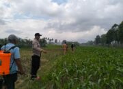 Polsek Kediri Bersama Bhabinkamtibmas dan PPL Pertanian Tingkatkan Ketahanan Pang