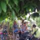 Kolaborasi Polri dan Petani di Lombok Barat Perkuat Fondasi Pangan Lokal