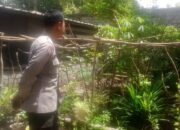 Kunjungan Humanis Bhabinkamtibmas, Ajak Warga Manfaatkan Lahan Pekarangan untuk Ketahanan Pangan