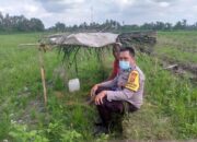 Sinergi Polri dan Petani di Dusun Tambang Eleh, Lombok Barat Wujudkan Desa Mandiri Pangan