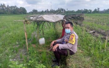 Sinergi Polri dan Petani di Dusun Tambang Eleh, Lombok Barat Wujudkan Desa Mandiri Pangan