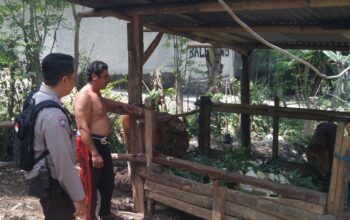 Warga Dusun Melase Antusias Sambut Program Pertanian Pekarangan yang Digagas Polsek Batulayar