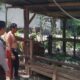 Edukasi Pertanian Pekarangan, Polsek Batulayar Beri Contoh di Dusun Melase