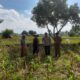 Petani Jagung Dusun Gelogor Dapat Pendampingan Bhabinkamtibmas dan PPL Lombok Barat