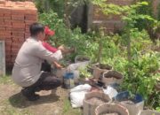 Sinergi Polsek Labuapi dan Warga Mapak Reong Dorong Pemanfaatan Pekarangan Produktif