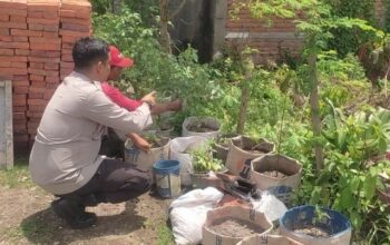 Sinergi Polsek Labuapi dan Warga Mapak Reong Dorong Pemanfaatan Pekarangan Produktif