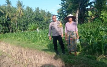 Kunjungan Humanis Bhabinkamtibmas di Kuranji, Pekarangan Jadi Sumber Pangan