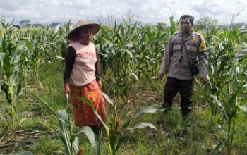 Polsek Labuapi Bangun Kesadaran Pangan Mandiri di Karang Kebon