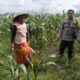 Sinergi Polisi dan Warga Karang Kebon untuk Kemandirian Pangan Lokal