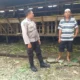 Warga Jagaraga Kuripan Didorong Aktif Wujudkan Swasembada Pangan oleh Bhabinkamtibmas