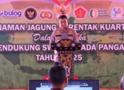 Ketahanan Pangan Dimulai dari NTB, Polri Kawal Penanaman Jagung Serentak