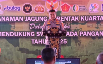 Ketahanan Pangan Dimulai dari NTB, Polri Kawal Penanaman Jagung Serentak