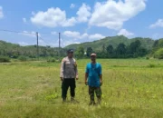 Bhabinkamtibmas Jadi Motor Ketahanan Pangan di Sekotong Barat