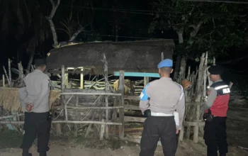 Polsek Sekotong Gencar Patroli Dini Hari, Fokus Amankan Ternak Warga