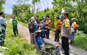 P3-TGAI Lelede: Dukungan Ustadz Abdul Hadi untuk Petani Lombok Barat