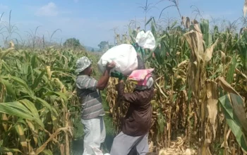 Polres Lombok Barat Kawal Stabilitas Harga Beras untuk Lindungi Warga