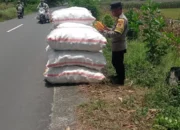 Peran Polisi di Balik Panen Jagung Sukses Petani Lombok Barat