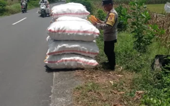 Peran Polisi di Balik Panen Jagung Sukses Petani Lombok Barat