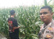 Bhabinkamtibmas Turun ke Sawah, Petani Lombok Barat Kian Semangat