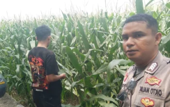 Bhabinkamtibmas Turun ke Sawah, Petani Lombok Barat Kian Semangat