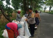 Sinergi Petani dan Polri di Lombok Barat Hasilkan Panen Jagung Melimpah