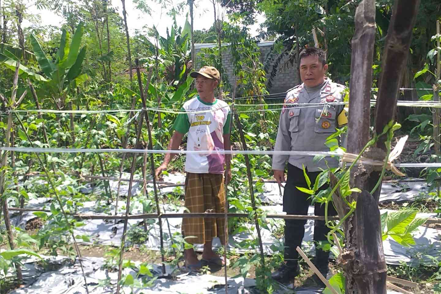 Sinergi Polri-Warga: Pekarangan Rumah Jadi Kunci Mandiri Pangan