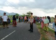 Nyongkolan Suku Sasak di Kuripan: Polisi Urai Kepadatan Lalin