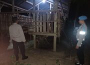 Malam Tak Lagi Sepi, Polisi Lembar Aktif Jaga Kandang Ternak Warga