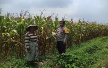 Kawal Desa, Polri Dukung Penuh Program Ketahanan Pangan di gerung