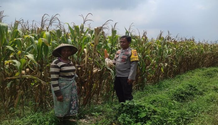 Kawal Desa, Polri Dukung Penuh Program Ketahanan Pangan di gerung
