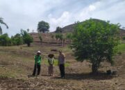 Kamtibmas Kondusif, Bhabinkamtibmas Dukung Program Tanam Jagung