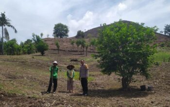 Kamtibmas Kondusif, Bhabinkamtibmas Dukung Program Tanam Jagung