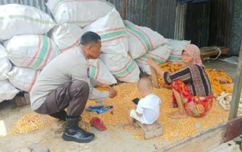 Bhabinkamtibmas Lombok Barat Dukung Distribusi Jagung ke Bulog