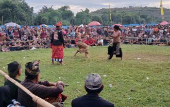 Pelestarian Budaya Sasak: Final Peresean Tarung Pepadu Lombok Berlangsung Aman